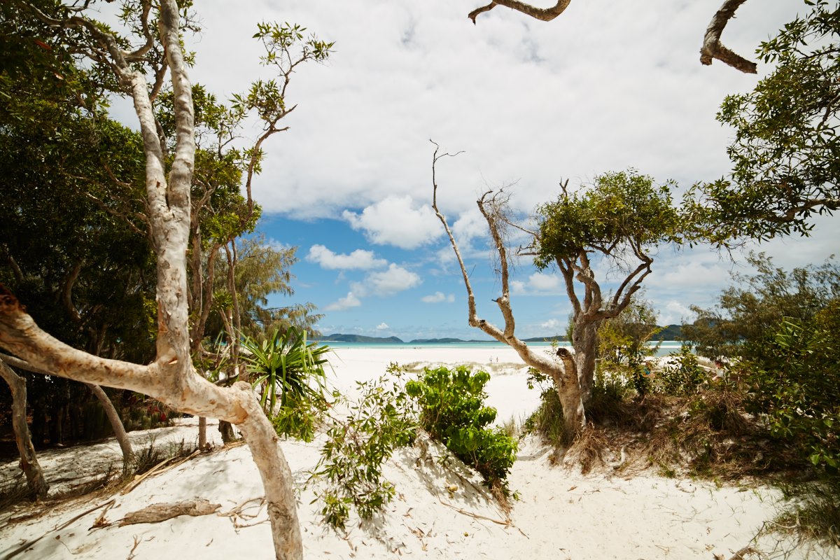 australien-35, natur, Insel, Meer, traumhaft, sandstrand